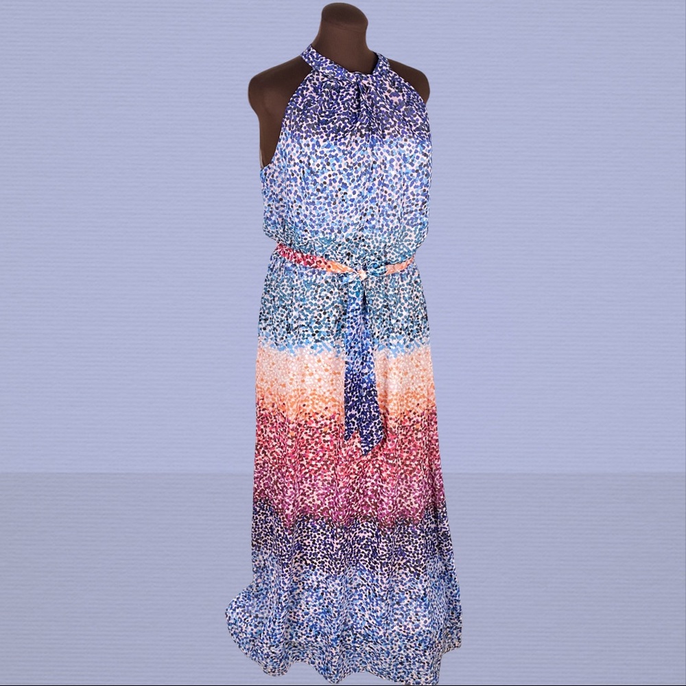 Multi-Color Halter Maxi Dress - Picture 2 of 15